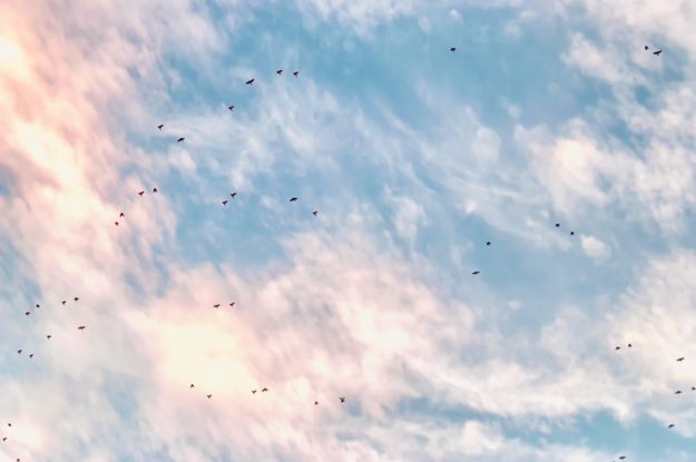 clouds-3687519_1920