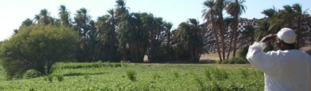 SEM CEDEJ KHartoum